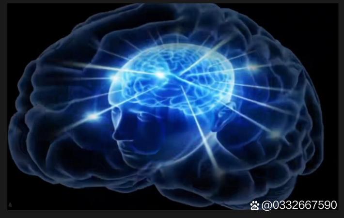 黑料718前线 - 某综艺节目录制现场突发状况,导演组紧急叫停 黑料718前线 - 某综艺节目录制现场突发状况,导演组紧急叫停